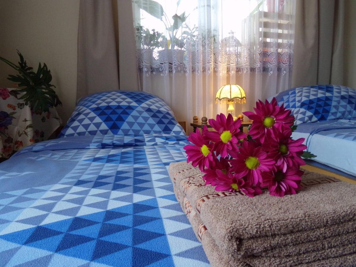 Agroturystyka U Willima Mechnica Exteriér fotografie