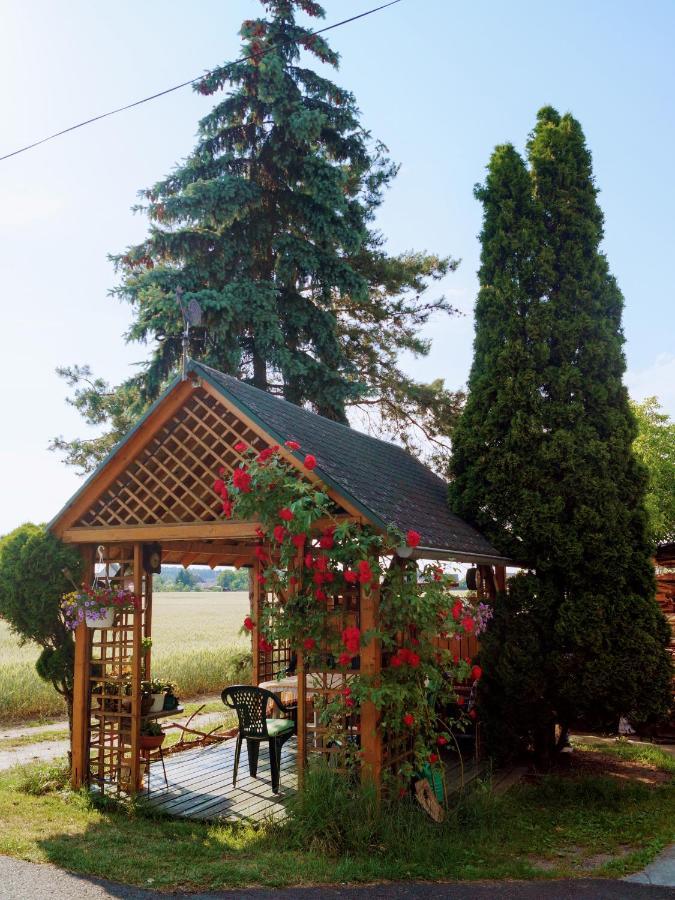 Agroturystyka U Willima Mechnica Exteriér fotografie